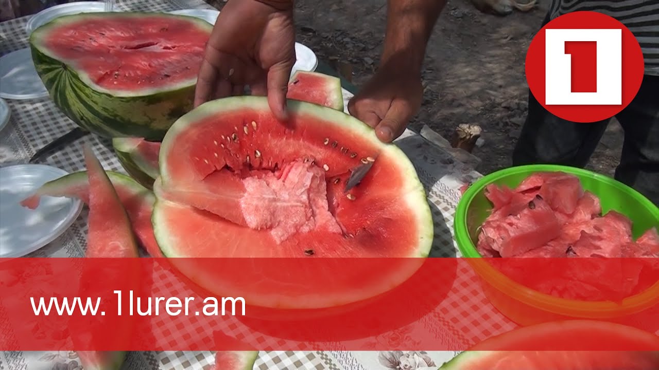 Քարվաճառից՝ Այգեպար. Հովհաննես Վարդանյանը Տավուշում ձմերուկի մեծ մշակություն է սկսել