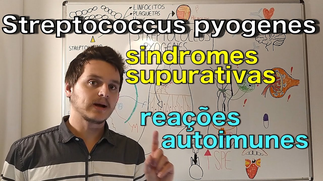 Streptococcus pyogenes | Curso de bacteriologia | Medicina passo a passo