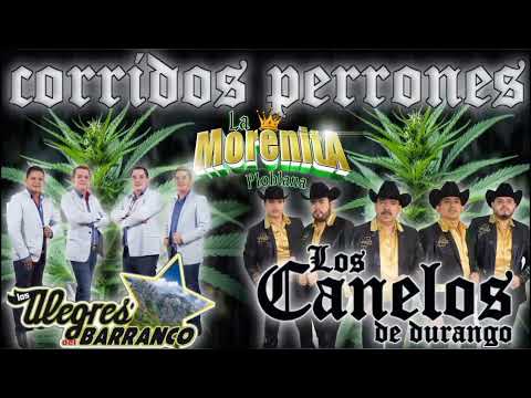 Los alegres del barranco vs los canelos de durango