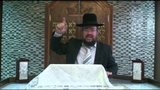 פרשת נח – מבול = התבוללות – נח היה פסיבי ואילו אברהם היה אקטיבי!