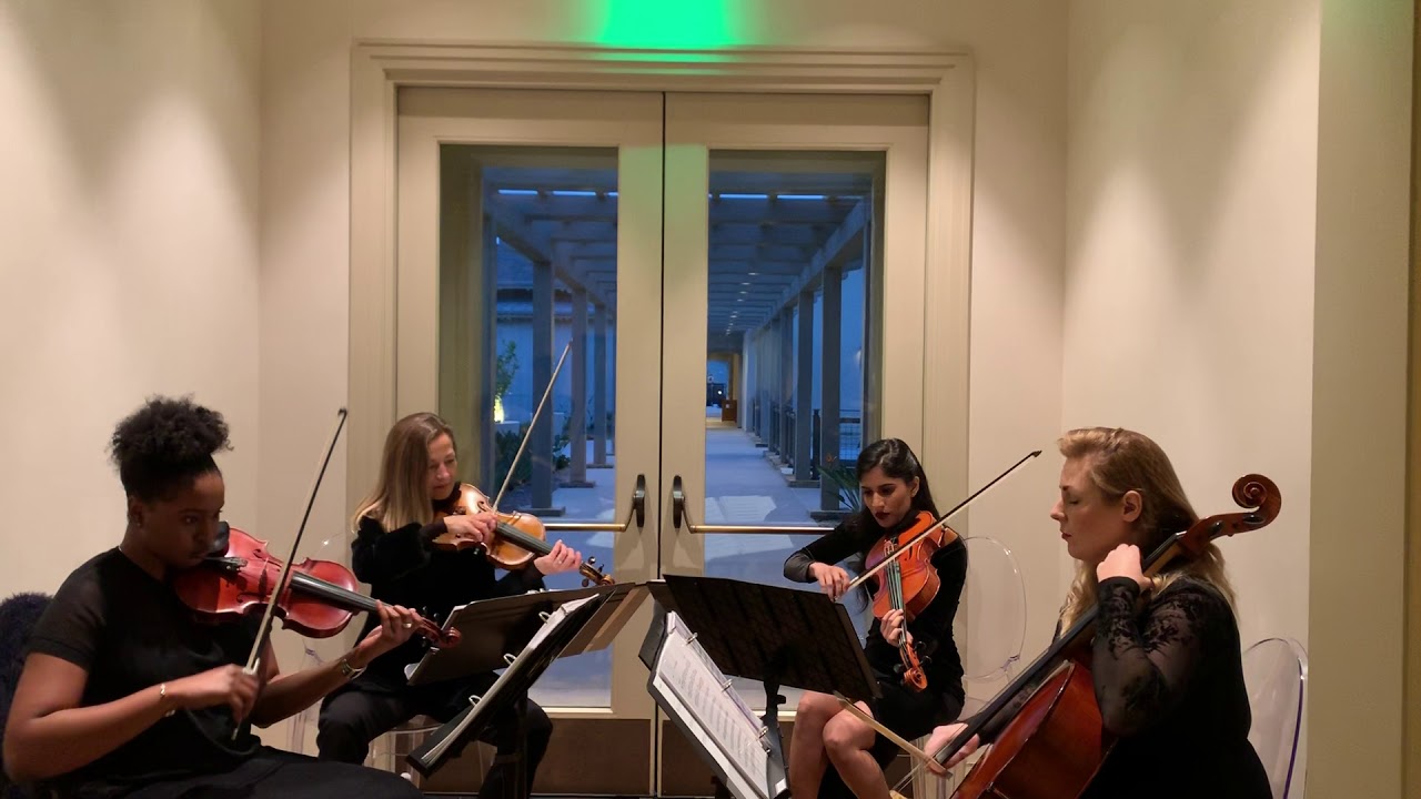 Hire Strings Attached Entertainment Violinist in Dana Point, California