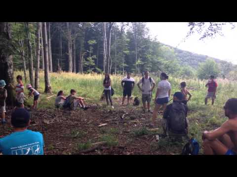 Boot Camp Dealu Negru 2014