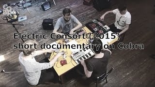 Zwerm's Electric Consort on Cobra.be