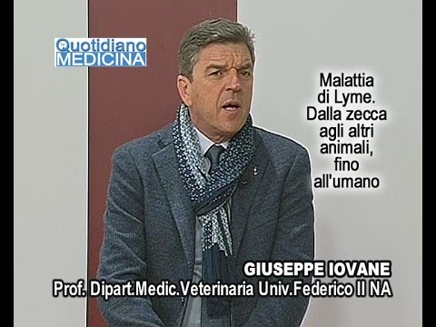 Farmaci per il trattamento di piccole articolazioni delle mani Trattamento di giunti con ammoniaca