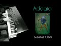 Adagio  - Suzanne Ciani  - piano
