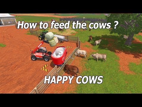 Farming Simulator 17 : How to feed the cows? Happy Cows!!! in Estancia Lapacho Map -Platinum Edition