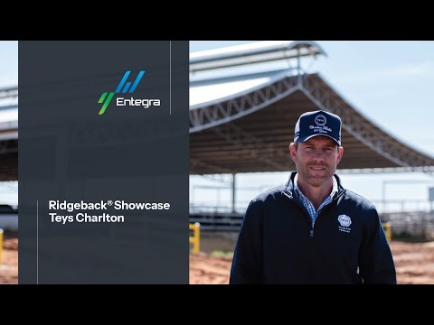 Ridgeback® Showcase | Teys Charlton