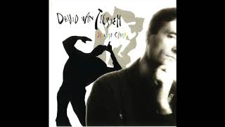 David Van Tieghem - Strange Cargo