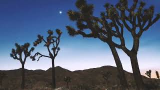 Don Edwards ~ Coyotes (subtitulada)