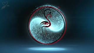 Yin ve Yang -  Mutlu Yıllar Türkiye - beyinvesinir.com - 2017