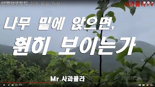 [사과재배] 밑에서 봤을때 하늘이 훤히 보여야.갈반없고 꽃눈 잘오고.   깔좋다