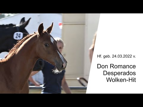 Hf v Don Romance x Desperados x Wolken Hit 2022