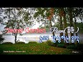 눈으로 감상하는 음악 / Secret Garden(씨크릿가든)  _  Poeme ( 詩 )  / 1h repeat / 사색과 휴식