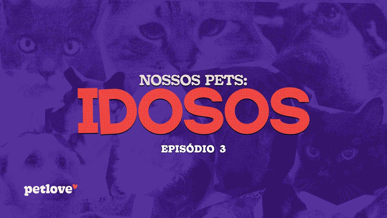 Nossos Pets: Idosos - Episódio 3 | Atividades e cuidados