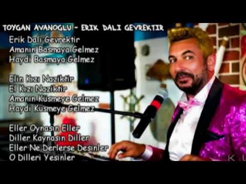 Toyqan Avanoğlu - Erik dalı gevrekdir