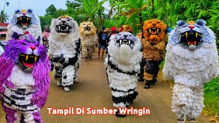 Download lagu MERIAH ‼ Can macanan singo raungcilik di undang acara ULANG TAHUN singo agung tampi di sumberwringin mp3