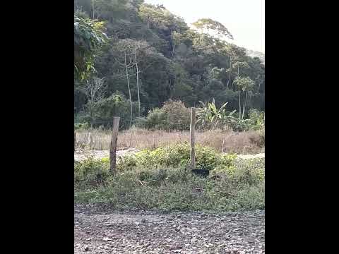 capela (mirante de açucena mg)