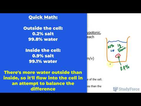 Isotonic, Hypotonic, and Hypertonic Solutions