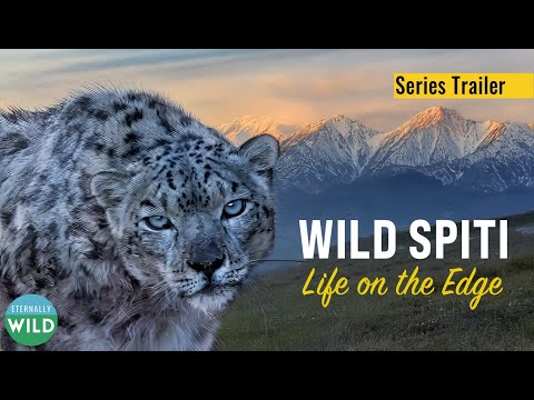 Wild Spiti – Life on the Edge | Documentary Series | Himalayas
