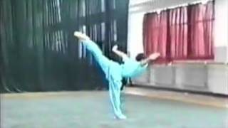 Download the video "Wushu Forms - Intermediate Chang Quan by Cao Yue"
