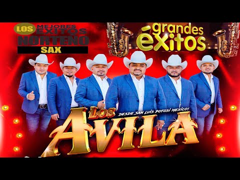 Mix Los Avila De Exitos 🌹 Norteñas Inolvidables 💗 Norteñas  Mix 2025