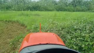 Cerberus land with Verge/flail Mower at Bramley