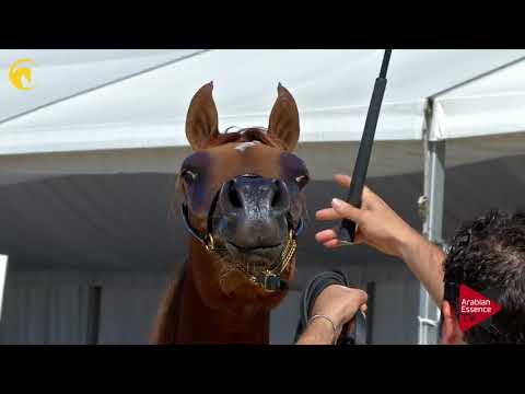 Menton 2017 - Class 6B