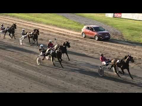 Trka "Fantastik Lobell-2005/2008" Admiral Love - Mašić Nemanja