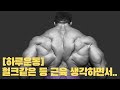 [하루운동] 등 근육 헐크같이!! 힘주고 빡시게!