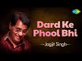 Dard Ke Phool Bhi | Jagjit Singh Ghazals | Javed Akhtar | Silsilay | Sad Ghazals | Old Songs