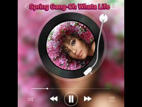 Spring Gang feat.Shy5 -Oh Whata Life #soulrelaxhouse