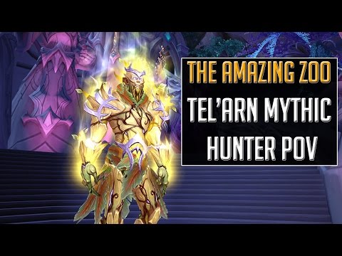 High Botanist Tel'Arn Mythic - Hunter MM PoV | Guild The Amazing Zoo - EU-La Croisade Ecarlate