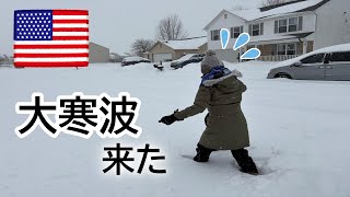 【アメリカ生活】大寒波でスーパーから牛乳も卵も消えた