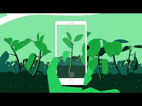 SIMA Labs