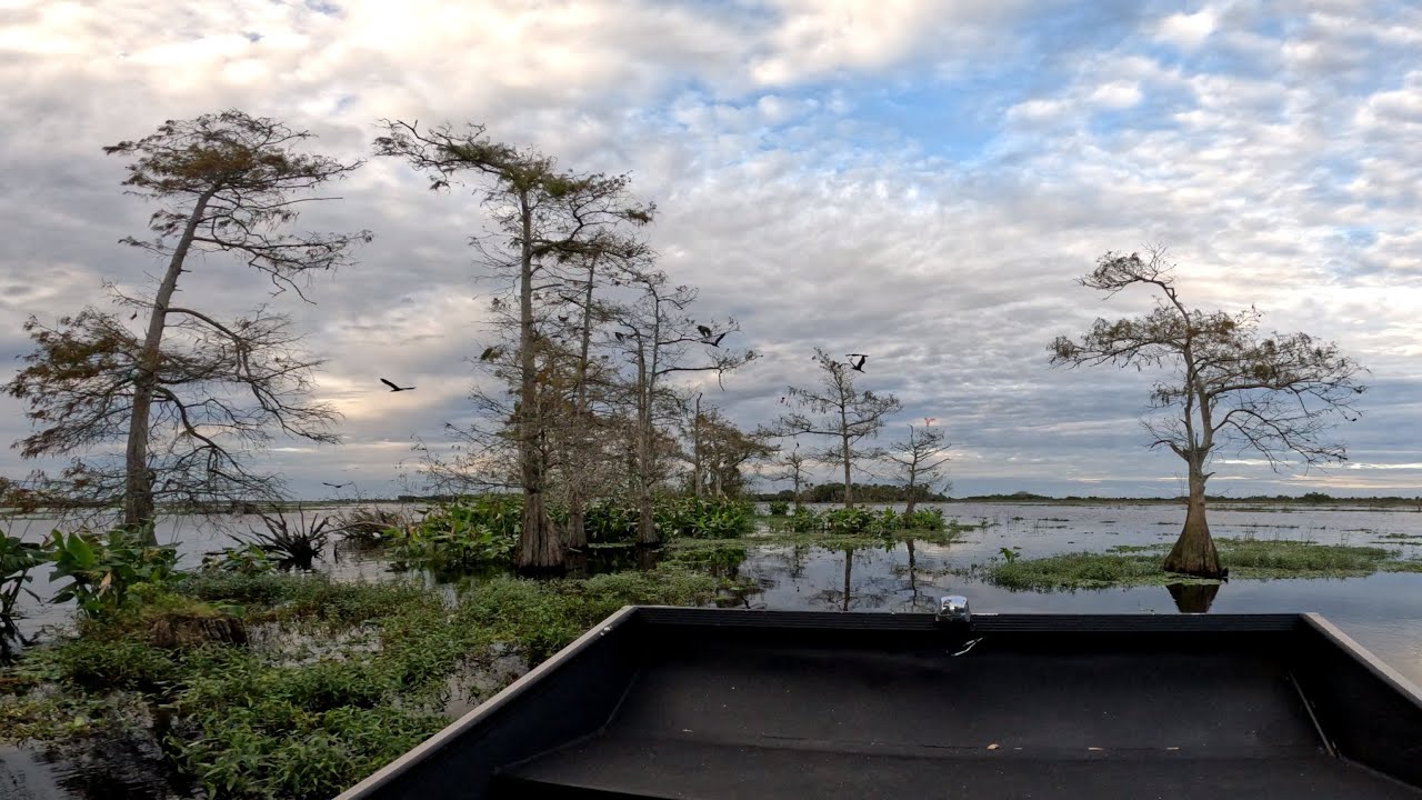 FLORIDA EVERGLADES 4K UHD(PT 1)