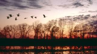 La chanson des migrateurs