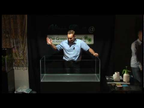 Oliver Knott @ The Green Machine Aquascaping Demo (Part 1 of 4) Full Video