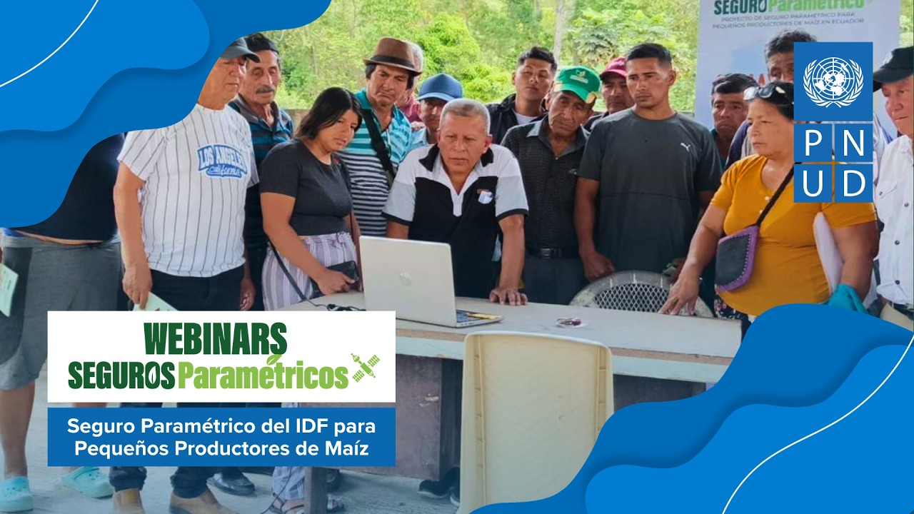 Webinar:  Seguro Paramétrico del IDF para Pequeños Productores de Maíz