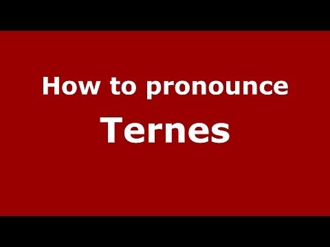 How to pronounce Ternes