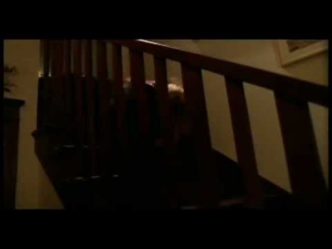 Post-Production Flub in Buffy the Vampire Slayer (4x15)