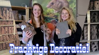 Hoe wordt Aquarium DECORATIE met de HAND gemaakt bij @ceramicnature !? //Nickey//