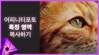 어피니티포토 특정 영역 선택 복사하기