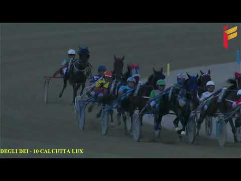 V Corsa del 22 ottobre 2022 - 2 Anni - Metri 1600 - Gara centrale