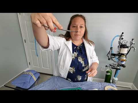 Ask the Vet - Surgery Instruments