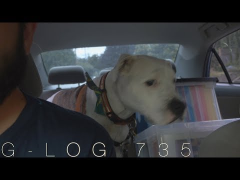 G Log 735: Another Francois day