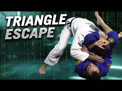 Triangle Escape Last Resort | Igor Gracie
