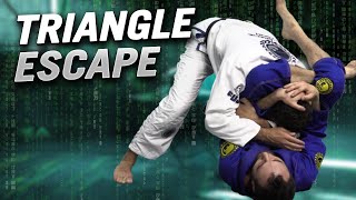 Triangle Escape Last Resort | Igor Gracie