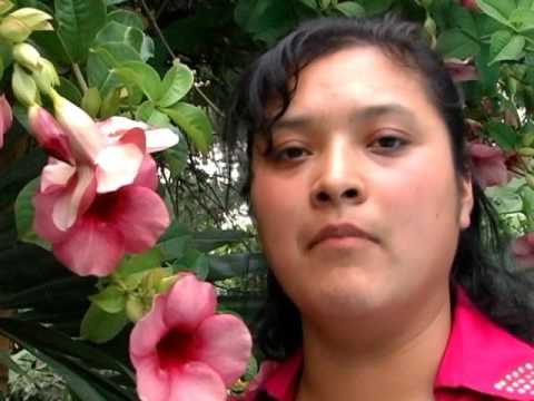 download lagu mp3 mp4 Eres Polvo Nada Mas, download mp3 Eres Polvo Nada Mas free download, download mp3 Eres Polvo Nada Mas