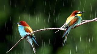 Download lagu Musik Relaksasi Penghantar Tidur Indah mp3