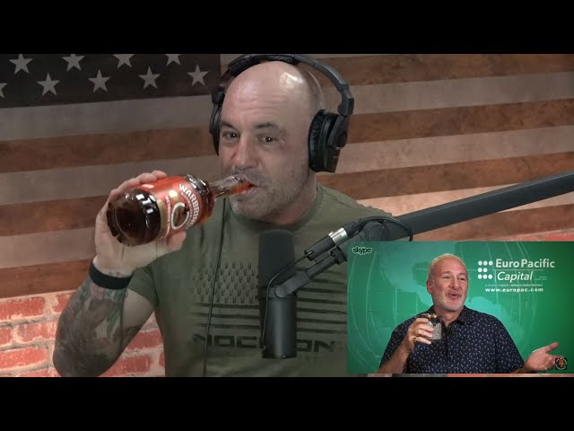 Peter Schiff discusses The Bubble films on The Joe Rogan Experience